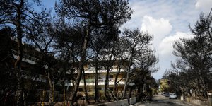 Μετά την καταστροφική πυρκαγιά στην Ανατολική Αττική-Φωτογραφία: Eurokinissi/Γιάννης Παναγόπουλος