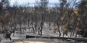 Φωτογραφία: EUROKINISSI/ΒΑΣΙΛΗΣ ΠΑΠΑΔΟΠΟΥΛΟΣ