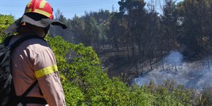 Φωτογραφία Αρχείου: IntimeNews