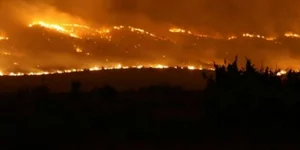 «Πύρινος εφιάλτης» στη Χίο - Στις φλόγες το 40% των μαστιχοκαλλιεργειών