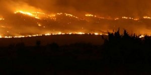 «Πύρινος εφιάλτης» στη Χίο - Στις φλόγες το 40% των μαστιχοκαλλιεργειών