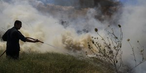 Μεγάλη καταστροφή από τις φωτιές στο Λασίθι (Φωτογραφία αρχείου: EUROKINISSI/ΓΙΩΡΓΟΣ ΚΟΝΤΑΡΙΝΗΣ)