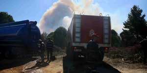 Φωτιά στην Εύβοια/ Φωτογραφία αρχείου: ΜΟΤΙΟΝΤΕΑΜ- ΒΕΡΒΕΡΙΔΗΣ ΒΑΣΙΛΗΣ