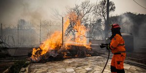 πυρκαγιά στην Κινέτα/Φωτογραφία: Eurokinissi/ΣΤΕΛΙΟΣ ΜΙΣΙΝΑΣ