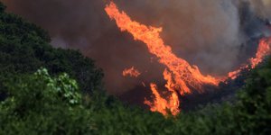 Φωτογραφία: AP