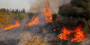 Φωτογραφία: Eurokinissi/Βασίλης Παπαδόπουλος