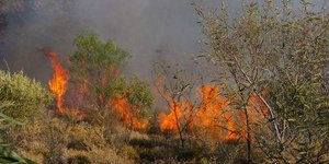 Φωτογραφία αρχείου: Εurokinissi