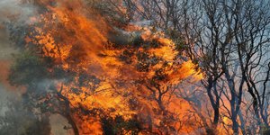 Φωτογραφία: Eurokinissi/Αντώνης Νικολόπουλος
