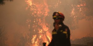 Φωτογραφία: Intimenews/ΛΙΑΚΟΣ ΓΙΑΝΝΗΣ