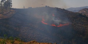 Φωτογραφία: Eurokinissi/Βασίλης Παπαδόπουλος