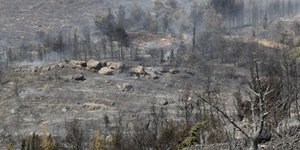 (EUROKINISSI/ ΣΩΤΗΡΗΣ ΔΗΜΗΤΡΟΠΟΥΛΟΣ)