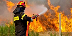 Κέρδισαν τη μάχη με τις φλόγες οι πυροσβέστες στη Μεσσηνία [εικόνες & βίντεο]
