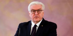 Ο Γερμανός πρόεδρος Φρανκ Βάλτερ Σταϊνμάιερ/Φωτογραφία: AP