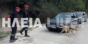 Στις έρευνες για την 50χρονη συμμετέχει και ειδικά εκπαιδευμένος σκύλος / Φωτογραφία: ilialive.gr