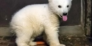 φωτογραφία: DW 