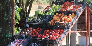 Καλύτερα πάνε τα καλοκαιρινά φρούτα και λαχανικά
