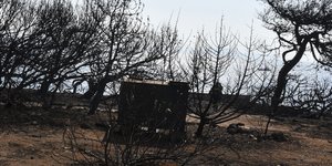 Συνεχώς αυξάνεται ο αριθμός των θυμάτων από τη φονική πυρκαγιά στο Μάτι / Φωτογραφία: Eurokinissi/ΜΠΟΛΑΡΗ ΤΑΤΙΑΝΑ