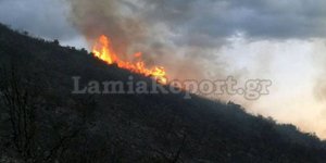 Φωτογραφία: lamiareport.gr