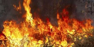 Φωτογραφία: Rodiaki