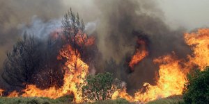 Φωτιά στο Αμάρι: Κάηκε δασική έκταση 50 στρεμμάτων