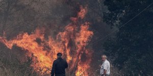 ΦΩΤΟΓΡΑΦΙΑ: EUROKINISSI/ΓΙΩΡΓΟΣ ΕΥΣΤΑΘΙΟΥ