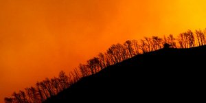 Εκκενώνονται χωριά στην Αρκαδία- Έξι οι τραυματίες από τη μεγάλη πυρκαγιά