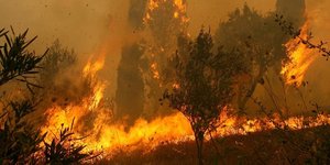 Υψηλός κίνδυνος για πυρκαγιά σε Αττική και Εύβοια