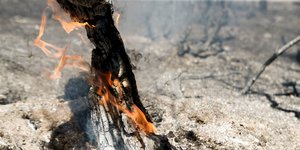 Πολύ υψηλός κίνδυνος πυρκαγιάς την Κυριακή -Σε ποιες περιοχές