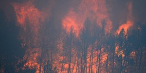 Μάχη με τις φλόγες σε τέσσερα σημεία στην Ελλάδα έδωσαν οι πυροσβέστες / Φωτογραφία: Intimenews - ΧΑΛΚΙΟΠΟΥΛΟΣ ΝΙΚΟΣ (αρχείο)