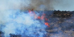 Φωτογραφία: Eurokinissi/Βασίλης Παπαδόπουλος