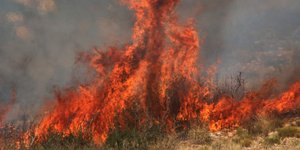 Φωτογραφία: Eurokinissi/Βασίλης Παπαδόπουλος