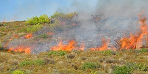 ΦΩΤΟΓΡΑΦΙΑ ΑΡΧΕΙΟΥ: EUROKINISSSI