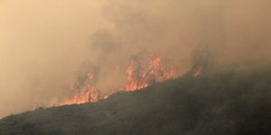 ΦΩΤΟΓΡΑΦΙΑ: EUROKINISSI/ILIALIVE.GR/ΓΙΑΝΝΗΣ ΣΠΥΡΟΥΝΗΣ