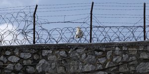 Φωτογραφία: Εurokinissi