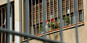 (EUROKINISSI/ ΤΑΤΙΑΝΑ ΜΠΟΛΑΡΗ)