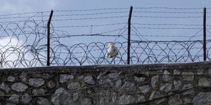 Φωτογραφία: Εurokinissi