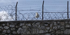 ΣΟΚ: Αυτοκτόνησε Λάκωνας κρατούμενος στις φυλακές Τριπόλεως /Φωτογραφία: Εurokinissi