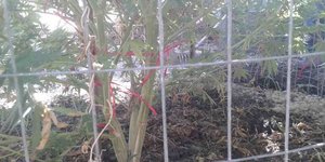 Φωτογραφία: astynomia.gr