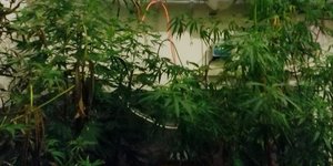 ΦΩΤΟΓΡΑΦΙΑ ΑΡΧΕΙΟΥ: EUROKINISSI