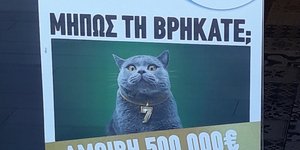 Αμοιβή 500.000 ευρώ σε όποιον πιάσει την πιο... τυχερή γάτα