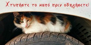 Γατάκι στην ρόδα του αυτοκινήτου