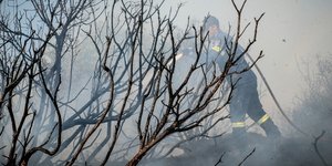 ΦΩΤΟΓΡΑΦΙΑ: EUROKINISSI /ΑΝΤΩΝΗΣ ΝΙΚΟΛΟΠΟΥΛΟΣ