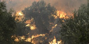 ΦΩΤΟΓΡΑΦΙΑ ΑΡΧΕΙΟΥ: INTIME NEWS