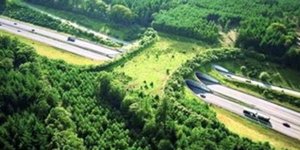 Οταν η φύση αγκαλιάζει την τεχνολογία: Μία υπέροχη συνύπαρξη [εικόνες]