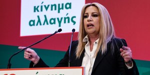 Η Φώφη Γεννηματά μιλά στην ΚΠΕ του ΚΙΝΑΛ / Φωτογραφία: EUROKINISSI