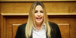 Φωτογραφία: EUROKINISSI/ΓΙΑΝΝΗΣ ΠΑΝΑΓΟΠΟΥΛΟΣ