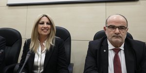 Ομιλία της Φώφης Γεννηματά για την επιχειρηματικότητα (Φωτο: INTIMENEWS)