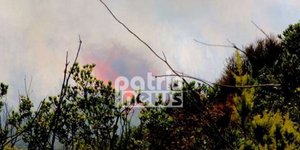 Τραυματίστηκε μία πυροσβέστης στην πυρκαγιά στο Γεράκι Ηλείας