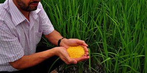 Προσλήψεις στο υπουργείο Αγροτικής Ανάπτυξης -Ανοίγουν 900 θέσεις εργασίας εποχι