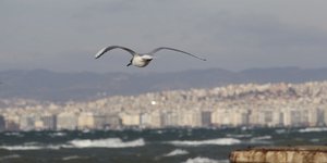 Φωτογραφία: ΜΟΤΙΟΝΤΕΑΜ/ΤΡΥΨΑΝΗ ΦΑΝΗ